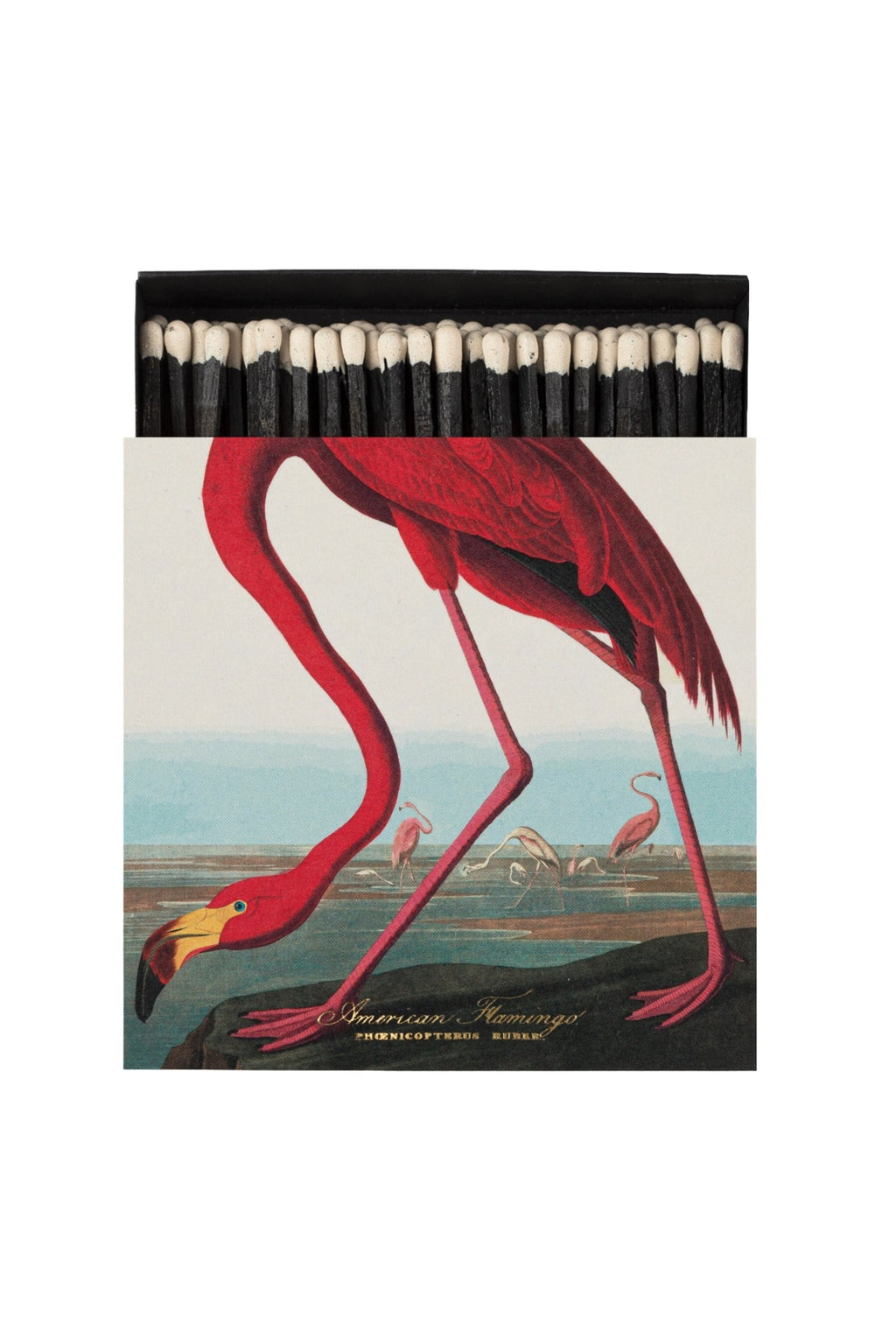 Shop Archivist Gallery Square Matchbox | American Flamingo - Archivist Gallery