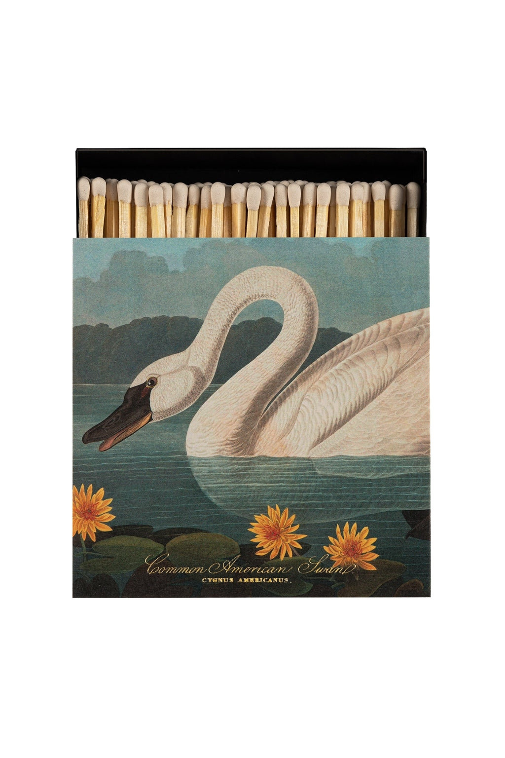 Shop Archivist Gallery Square Matchbox | Common American Swan - Archivist Gallery