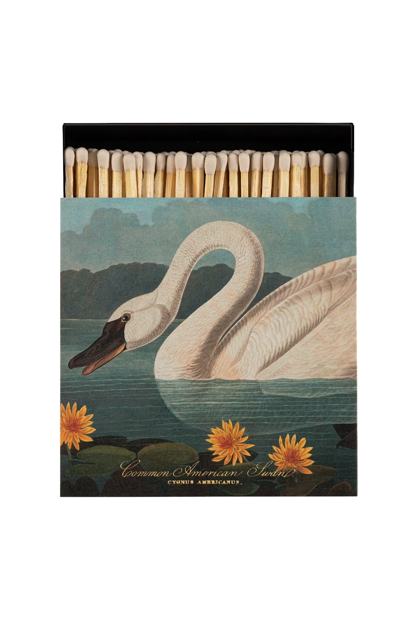 Shop Archivist Gallery Square Matchbox | Common American Swan - Archivist Gallery