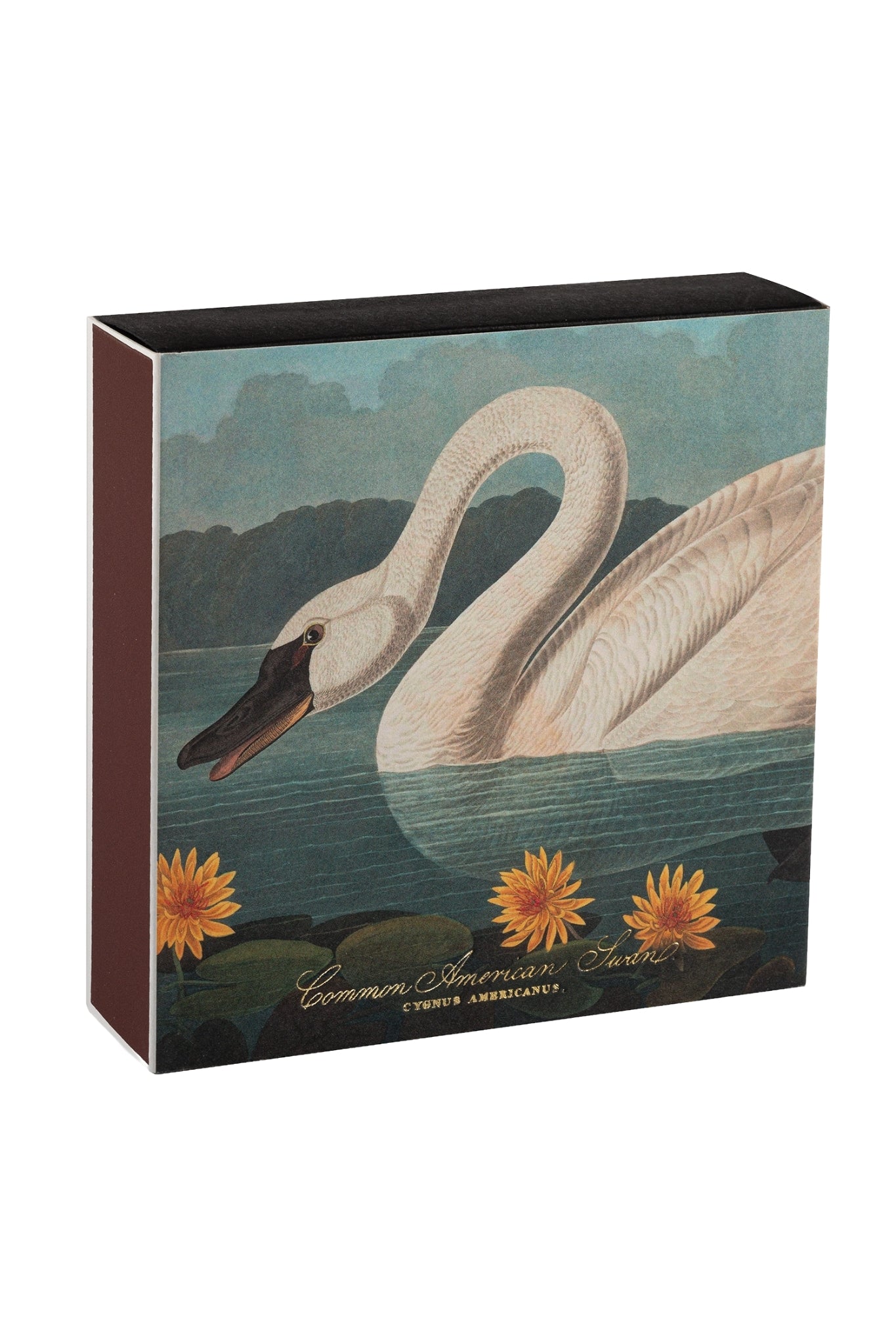 Shop Archivist Gallery Square Matchbox | Common American Swan - Archivist Gallery