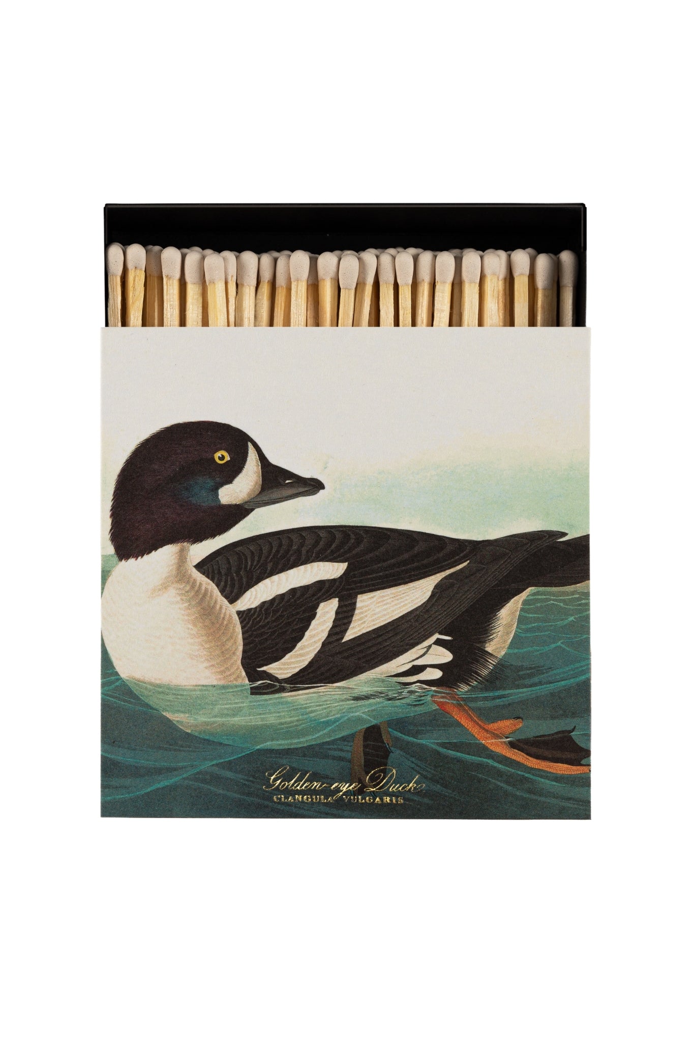 Shop Archivist Gallery Square Matchbox | Golden - Eye Duck Matches - Archivist Gallery