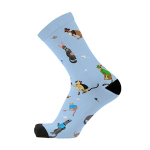 Shop Bamboo Socks Gift Box | Raining Cats and Dogs - Red Fox Sox