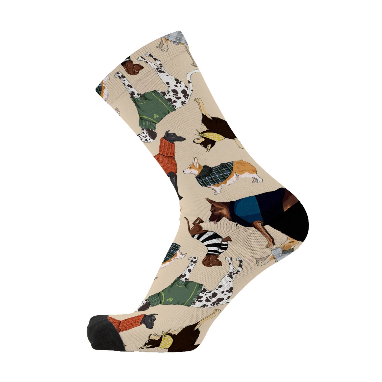 Shop Bamboo Socks Gift Box | Raining Cats and Dogs - Red Fox Sox