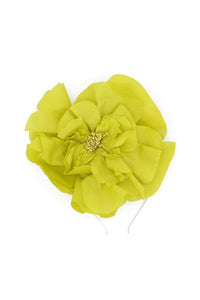 Shop PRE - ORDER Cindy Silk Fascinator | Lime Green - Morgan & Taylor