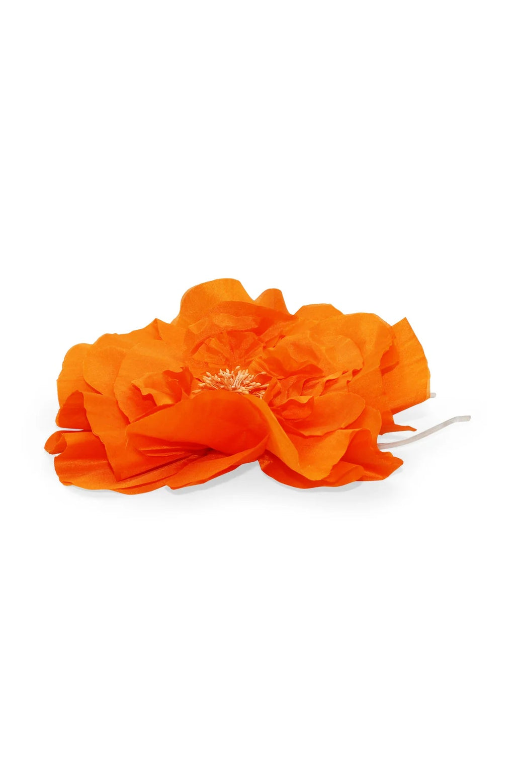Shop PRE - ORDER Cindy Silk Fascinator | Orange - Morgan & Taylor