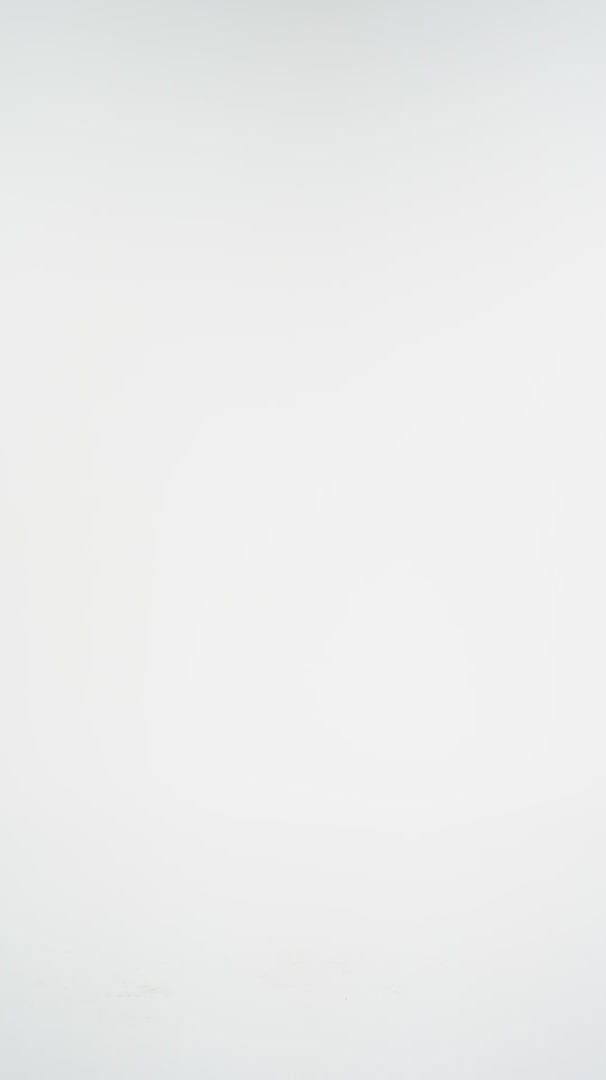 UP! Pants Vegan Silk Pants