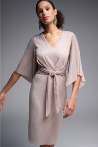 Shop Dress Style 231715 | Rose - Joseph Ribkoff