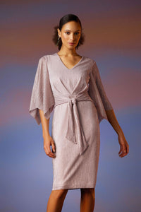 Shop Dress Style 231715 | Rose - Joseph Ribkoff