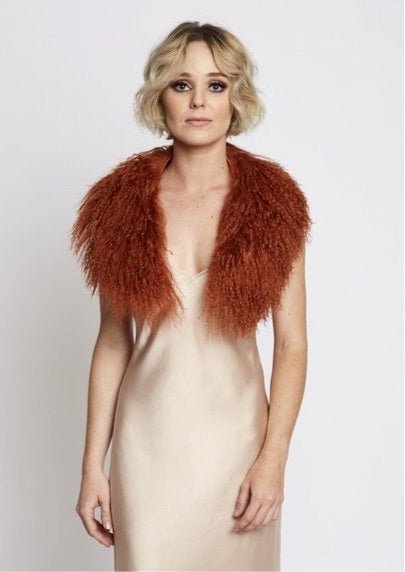 Shop Stevie Collar - Amity & Unity