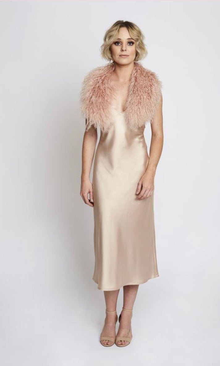 Shop Stevie Collar - Amity & Unity