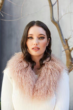 Shop Stevie Collar - Amity & Unity